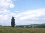 P1030012.jpg