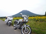 P1030457.jpg