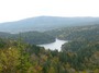 P1010136.jpg