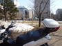 P1040613.jpg