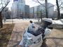 P1040615.jpg