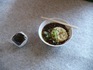 P1020050.JPG