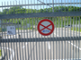 P1050012.jpg