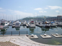 P1050049.jpg