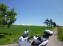 P1050085.jpg