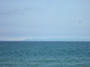 P1050341.jpg
