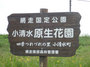P1050375.jpg
