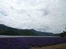 P1050612.jpg