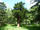 P1050850.jpg