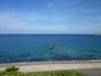 P1050881.jpg