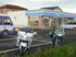 P1050939.jpg