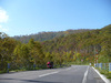 P1020161.JPG