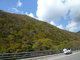 P1070385.jpg