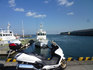 P1070453.jpg