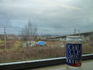 P1070566.jpg