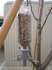 P1070600.jpg