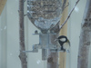 CIMG3680.jpg