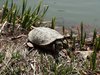 DSC00063.jpg