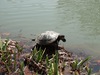 DSC00064.jpg
