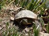 DSC00065.jpg
