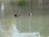 DSC00068.jpg