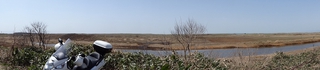 DSC00118.jpg