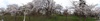 DSC00180.jpg
