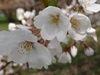DSC00189.jpg