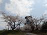 DSC00223.jpg