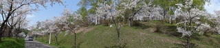 DSC00249.jpg