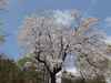 DSC00266.jpg