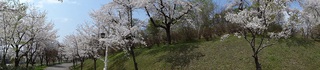 DSC00268.jpg