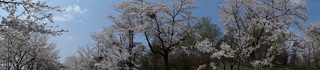 DSC00269.jpg
