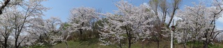 DSC00270.jpg
