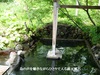 0P1020377.JPG