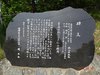 DSC00614.jpg