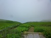 きり.jpg