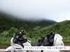 DSC01139.jpg