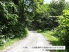 DSC01196.jpg
