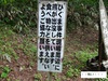 DSC01198.jpg