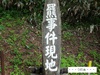 DSC01199.jpg