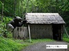 DSC01202.jpg