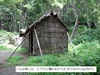 DSC01207.jpg