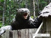 DSC01208.jpg