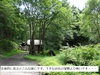 DSC01210.jpg