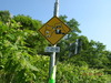 DSCN3074.JPG