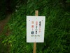 サルボ展望台入口熊看板.jpg