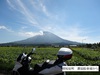 DSC01351.jpg