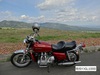 DSC01463.jpg