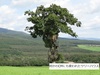 DSC01475.jpg